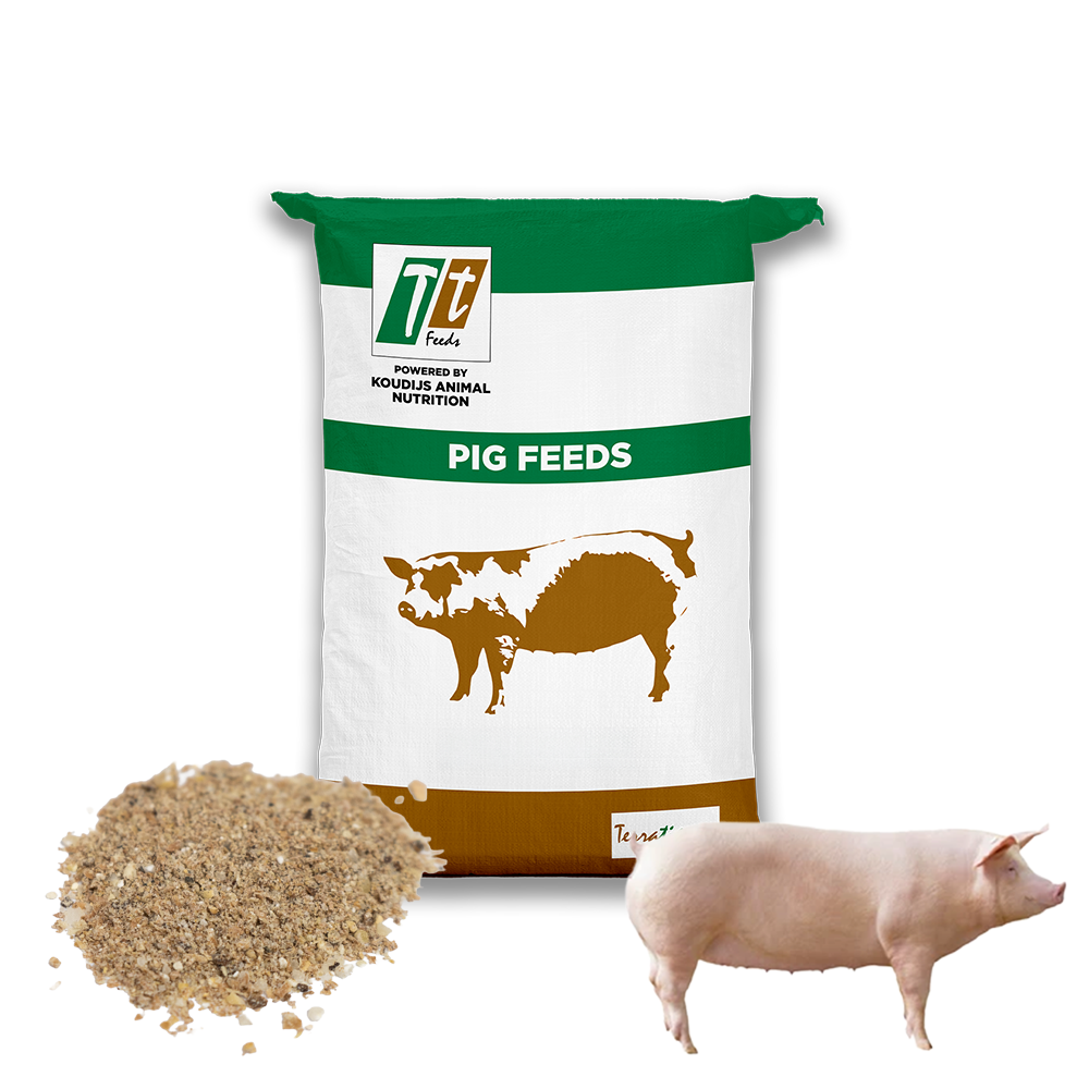 Gestating Sow Feed (Regular) (25kg)