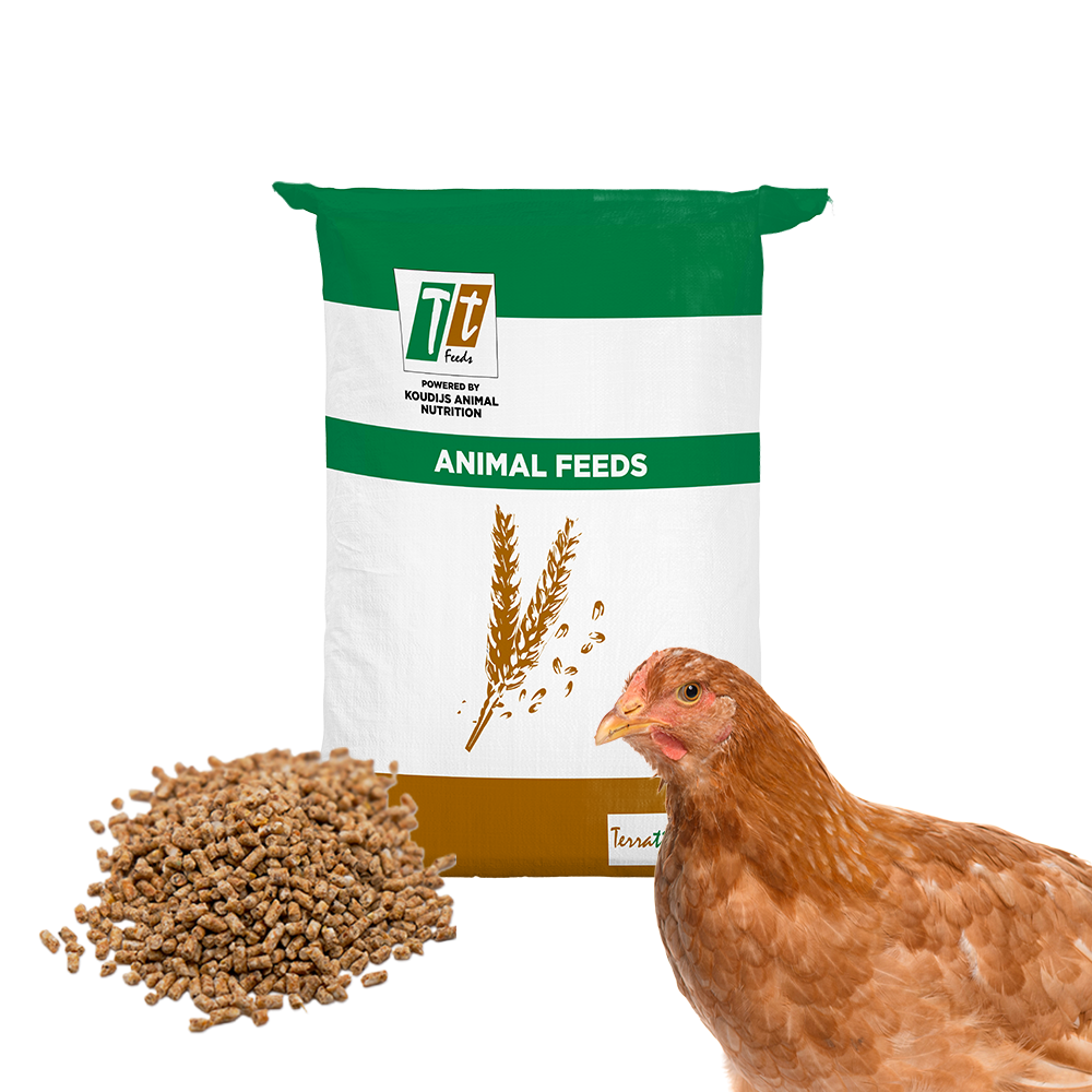 Layer Prelayer Feed (25kg)
