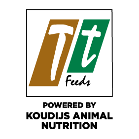 Terratiga Website